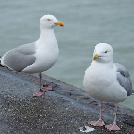 Le Galet Dieppe Exterior foto